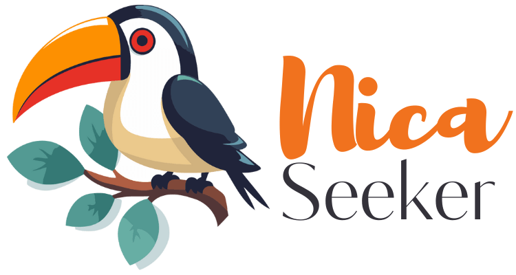Nica Seeker Logo