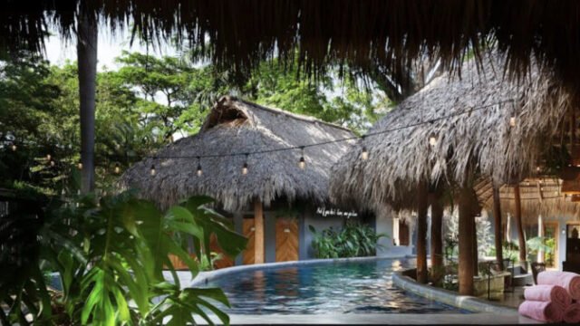 the SPACE. Jungle Oasis – Yoga, Retreats, Plant-Based Café and Boutique in San Juan del Sur Hills