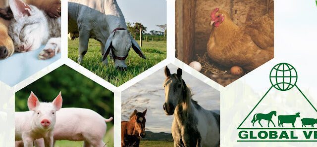 Global Vet Veterinary Supplies Managua Veterinary Supplies and Services in Managua, Nicaragua