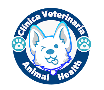Exterior view of Veterinaria Salud Animal in Managua, Nicaragua