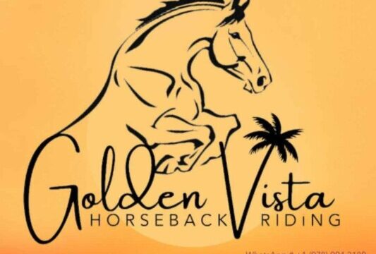 Logo for Golden Vista Horseback riders