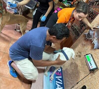 Interior view of Urban Pets San Juan del Sur pet supply store