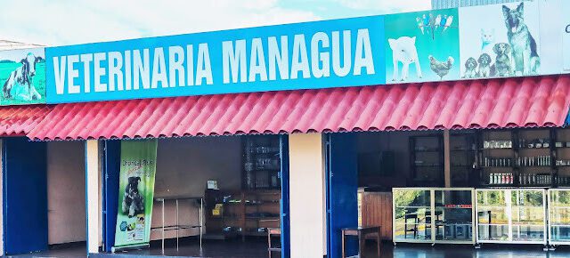 Exterior view of Veterinaria Managua clinic in Managua, Nicaragua