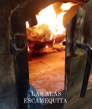Las Alas Wood-fired oven in Escamequita, Nicaragua – jungle retreat with pickleball and family adventures