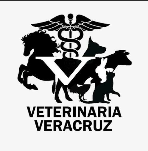 Veterinaria Jardines de Veracruz – Trusted Pet Care and Supplies in Managua, Nicaragua