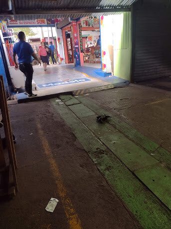 Exterior view of Veterinaria Dog's House in Managua, Nicaragua