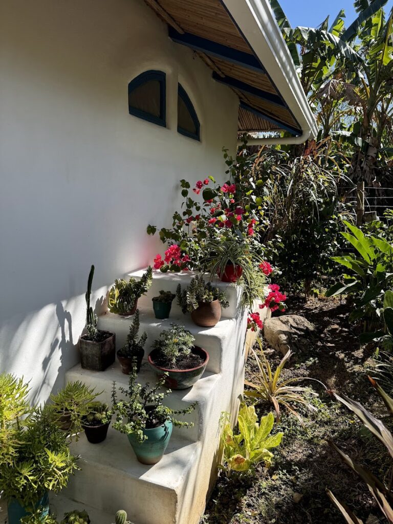 La Urraca Loca Hostel