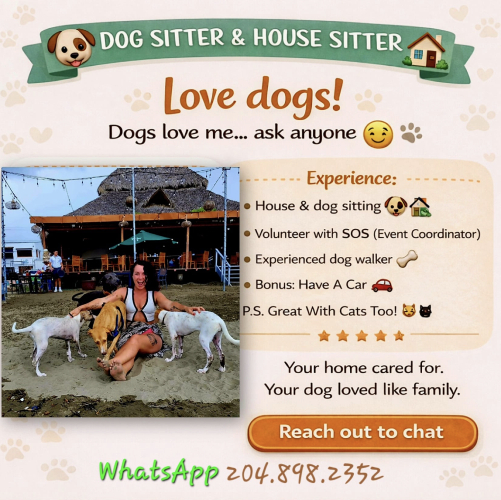 Poster of Dog & House Sitter