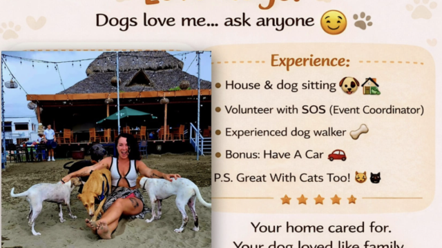 Poster of Dog & House Sitter