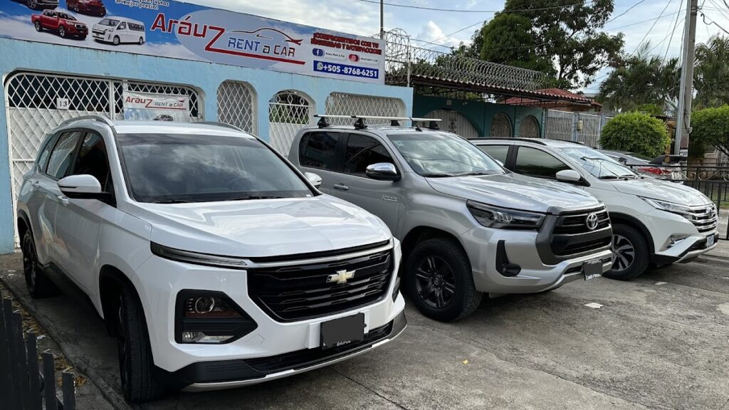ARAUZ RENT A CAR