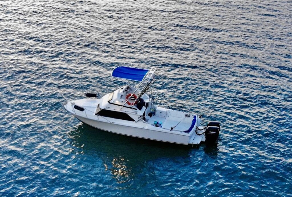 BillFish boat charters