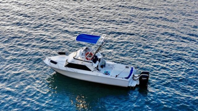 BillFish boat charters