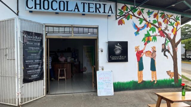 Choco Rico – Chocolates Organic – Free Tasting – Cacao – Café – Backpacker hub