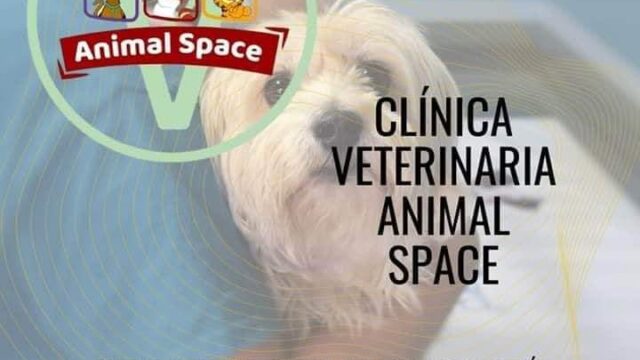 Clínica Veterinaria “Animal Space”