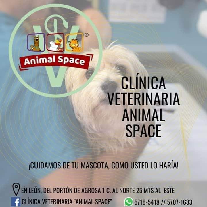 Clínica Veterinaria “Animal Space”