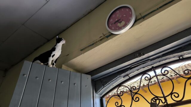 CLÍNICA VETERINARIA EAN