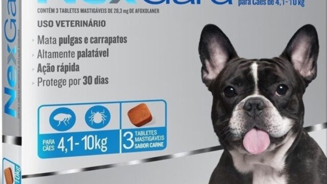 CLINICA VETERINARIA LEON OESTE