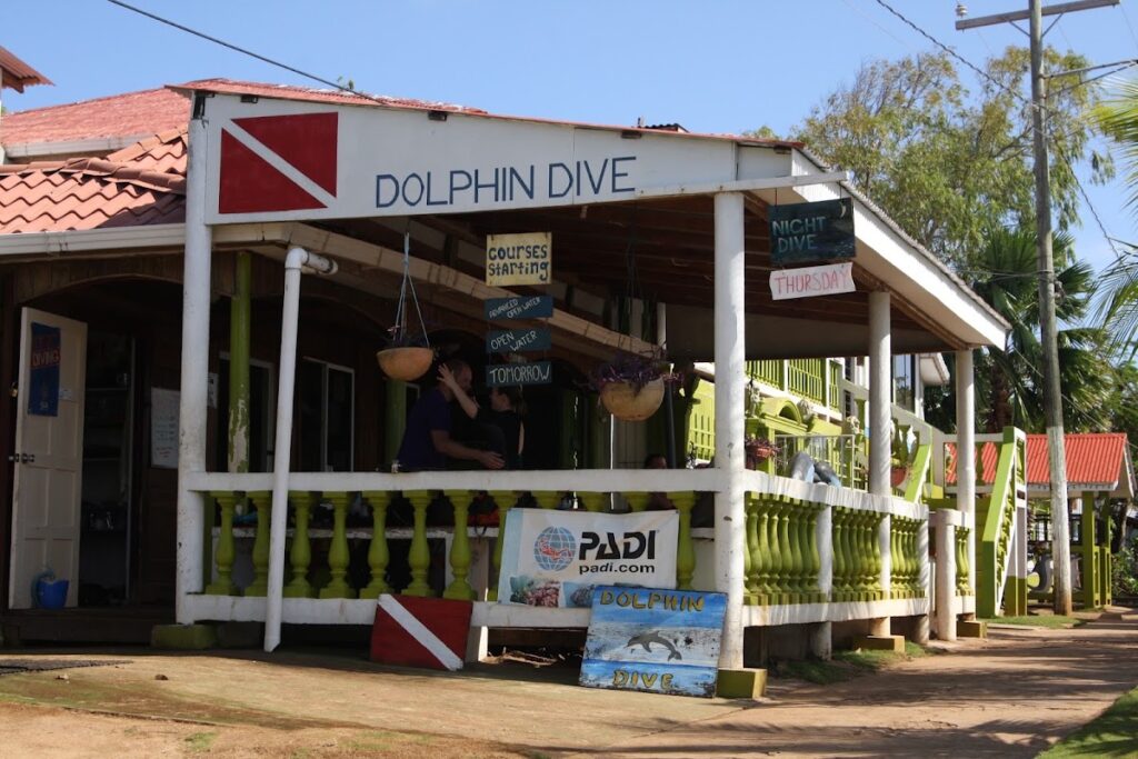 Dolphin Dive