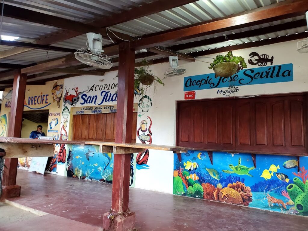 Fish Market