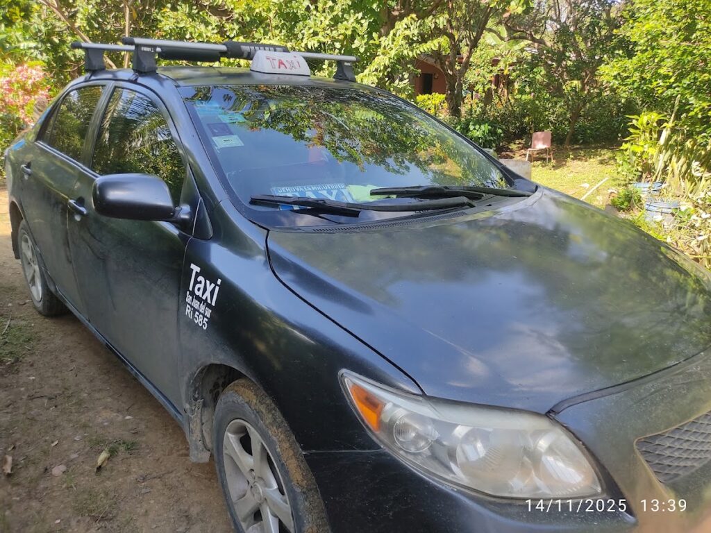 Hertys taxi