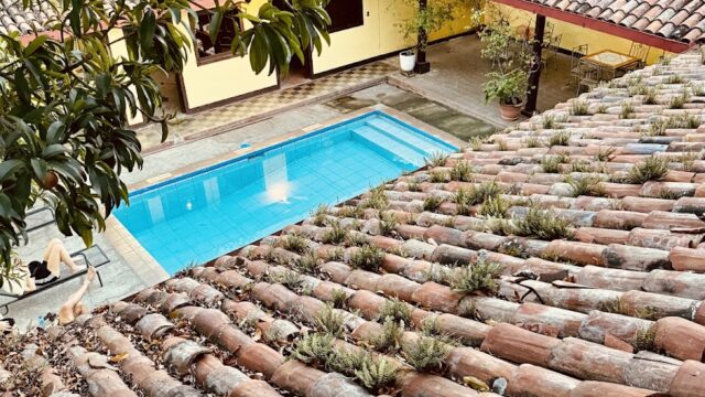 Hostal Lazybones