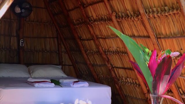 Isla Del Sol – Tree Art Lodge
