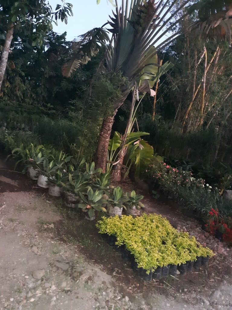 Jardines Nica Verde