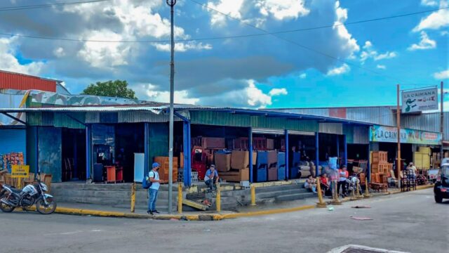 La Caimana Mueblería