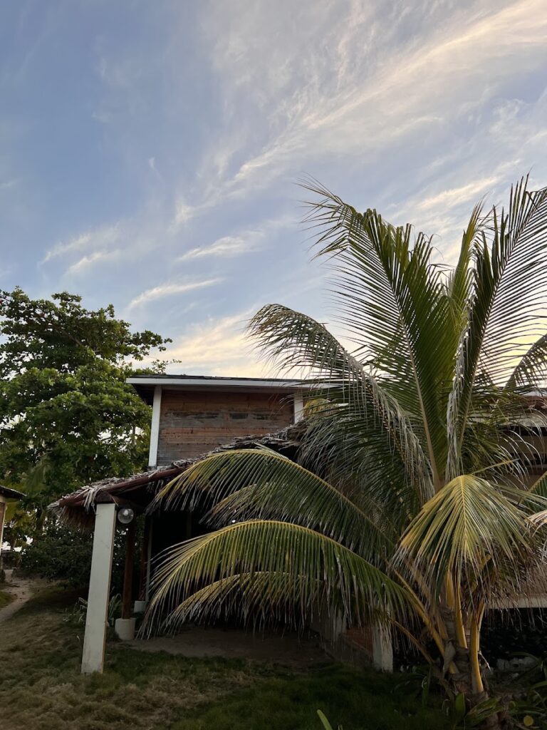 La Princesa de la Isla