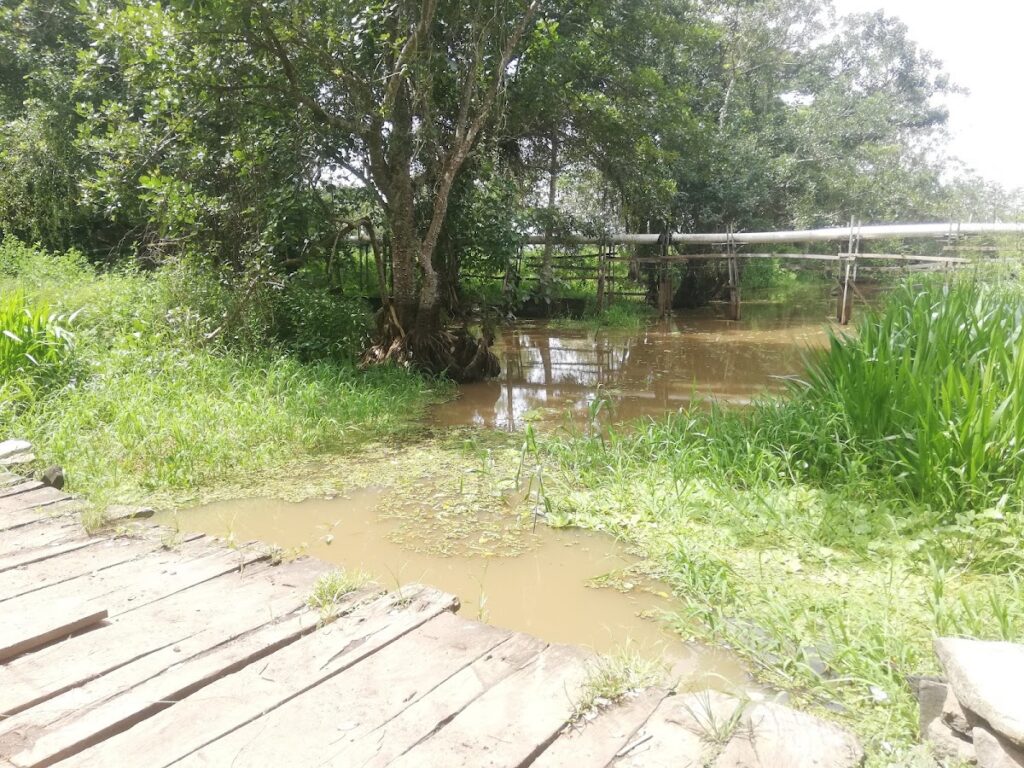 Rio santo Domingo