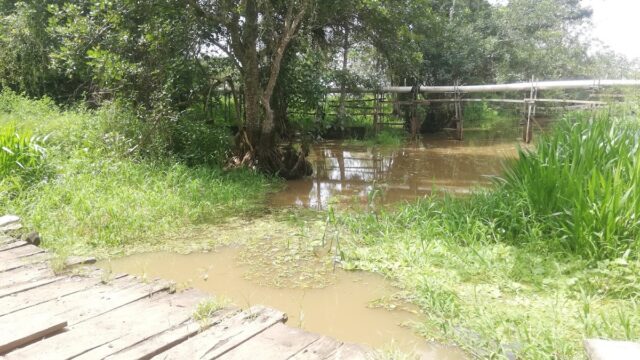 Rio santo Domingo