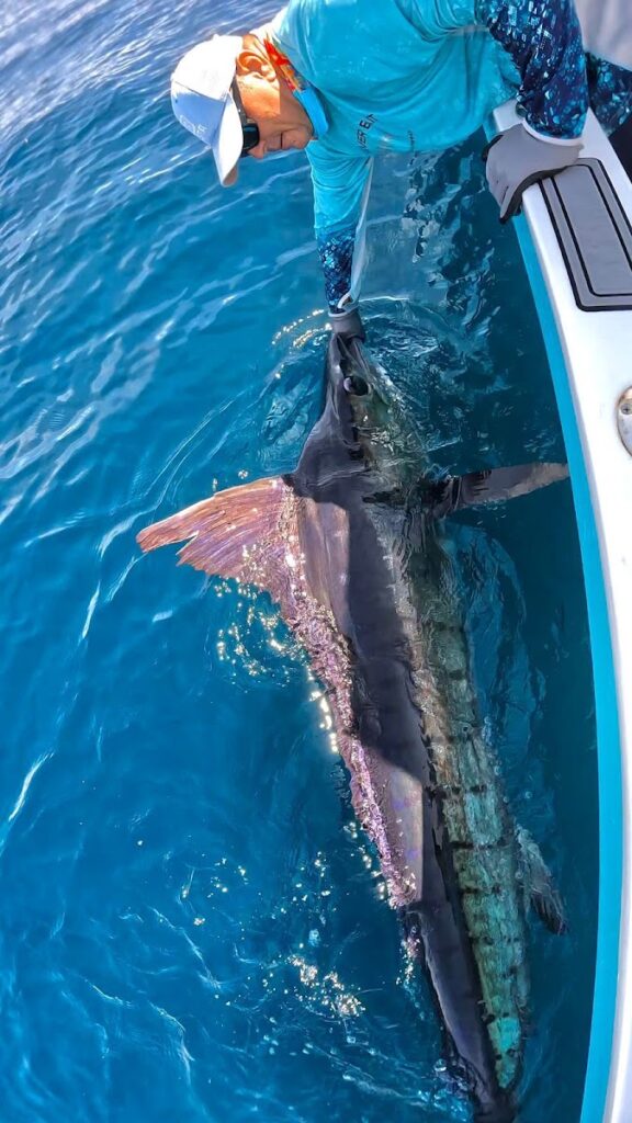 SurFish Tours SJDS