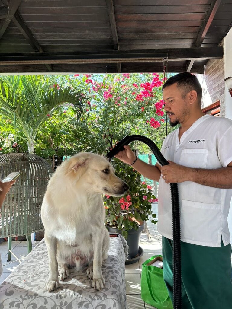 Veterinaria Servidoc