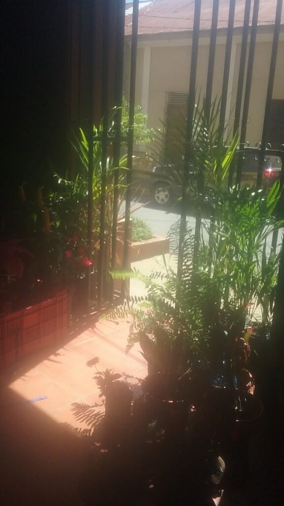 Vivero Adonai