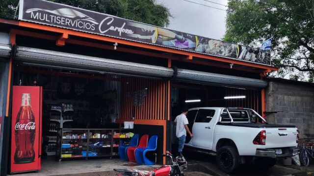 Auto lavado cardoza