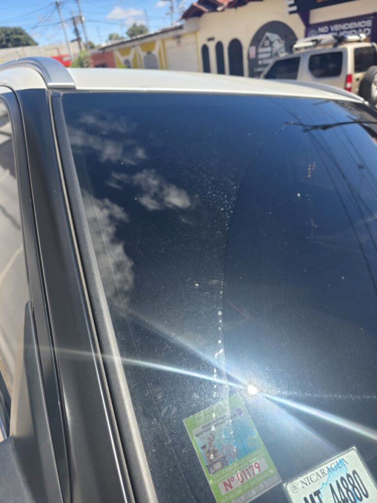 Auto premium detailing