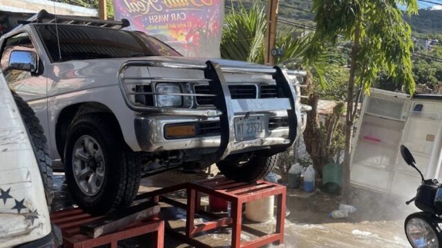 CAR WASH BRILLO REAL