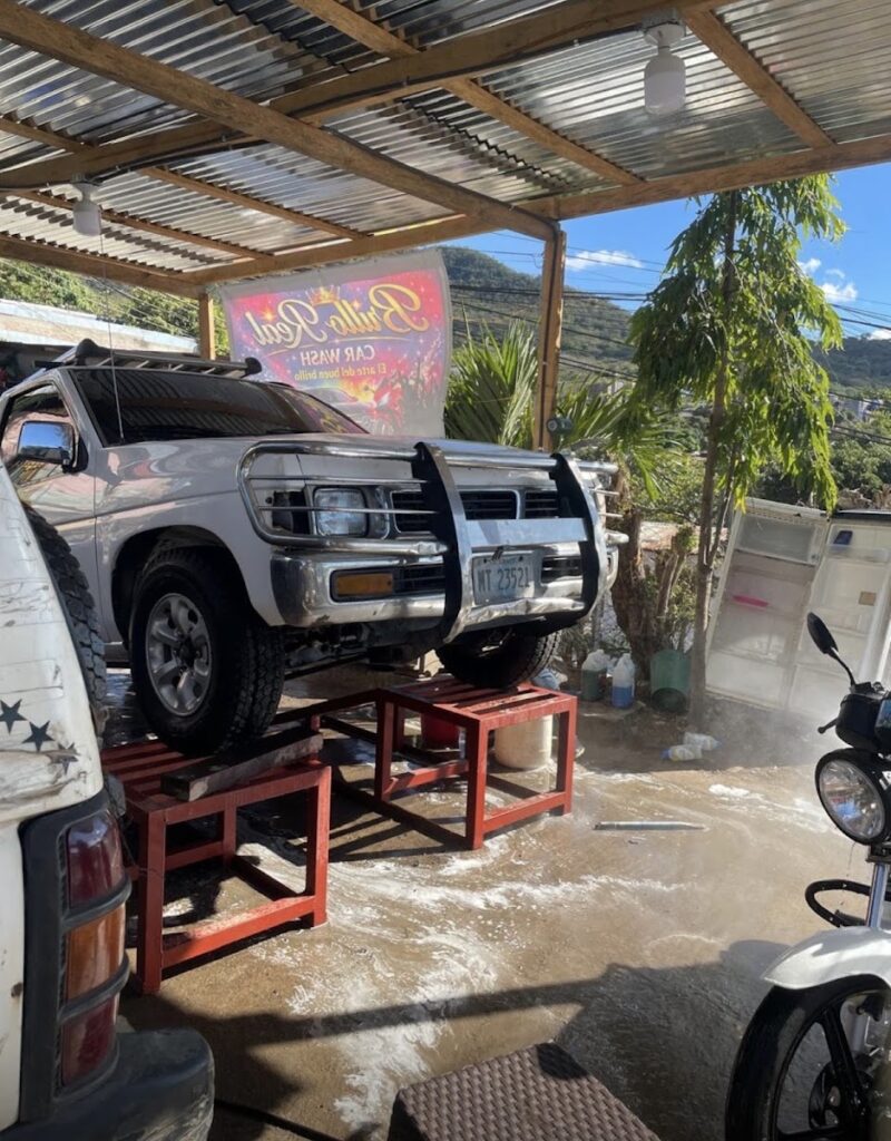 CAR WASH BRILLO REAL