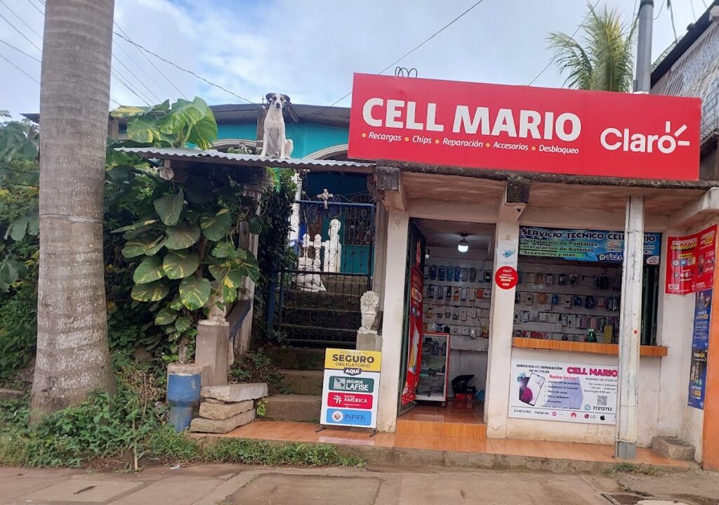 MarioCellCatarina