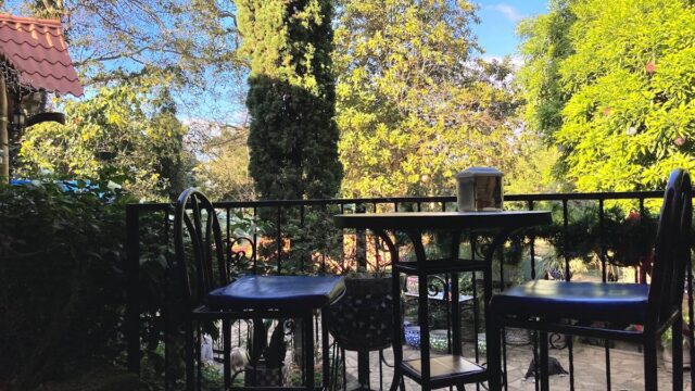 Mi Viejo Ranchito