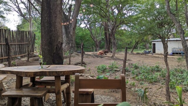 The Rustic