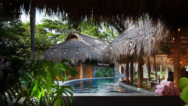 the SPACE. Jungle Oasis